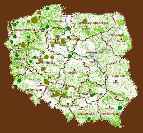 OSTOJA-HUNTING organizacja polowa polowania indywidualne i zbiorowe w Polsce