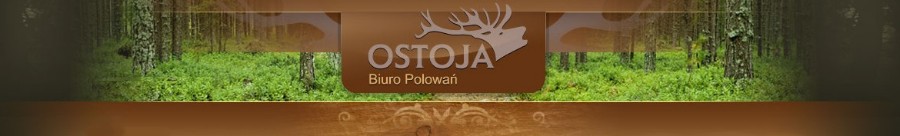 OSTOJA-HUNTING organizacja polowa polowania indywidualne i zbiorowe w Polsce